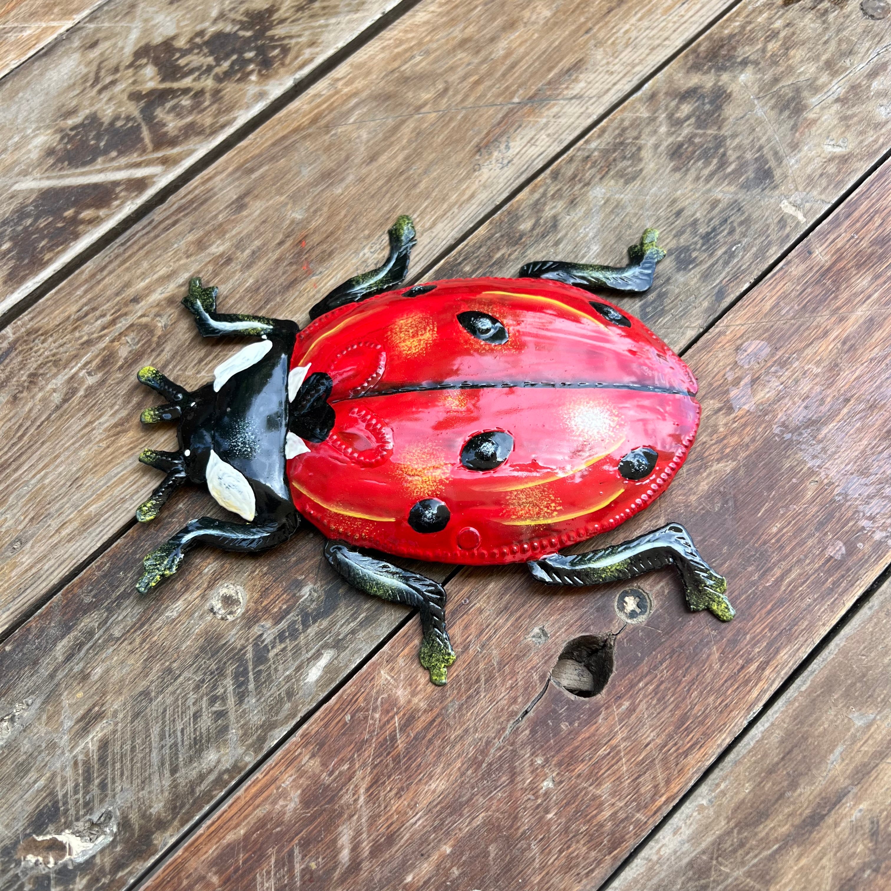 Red Ladybug