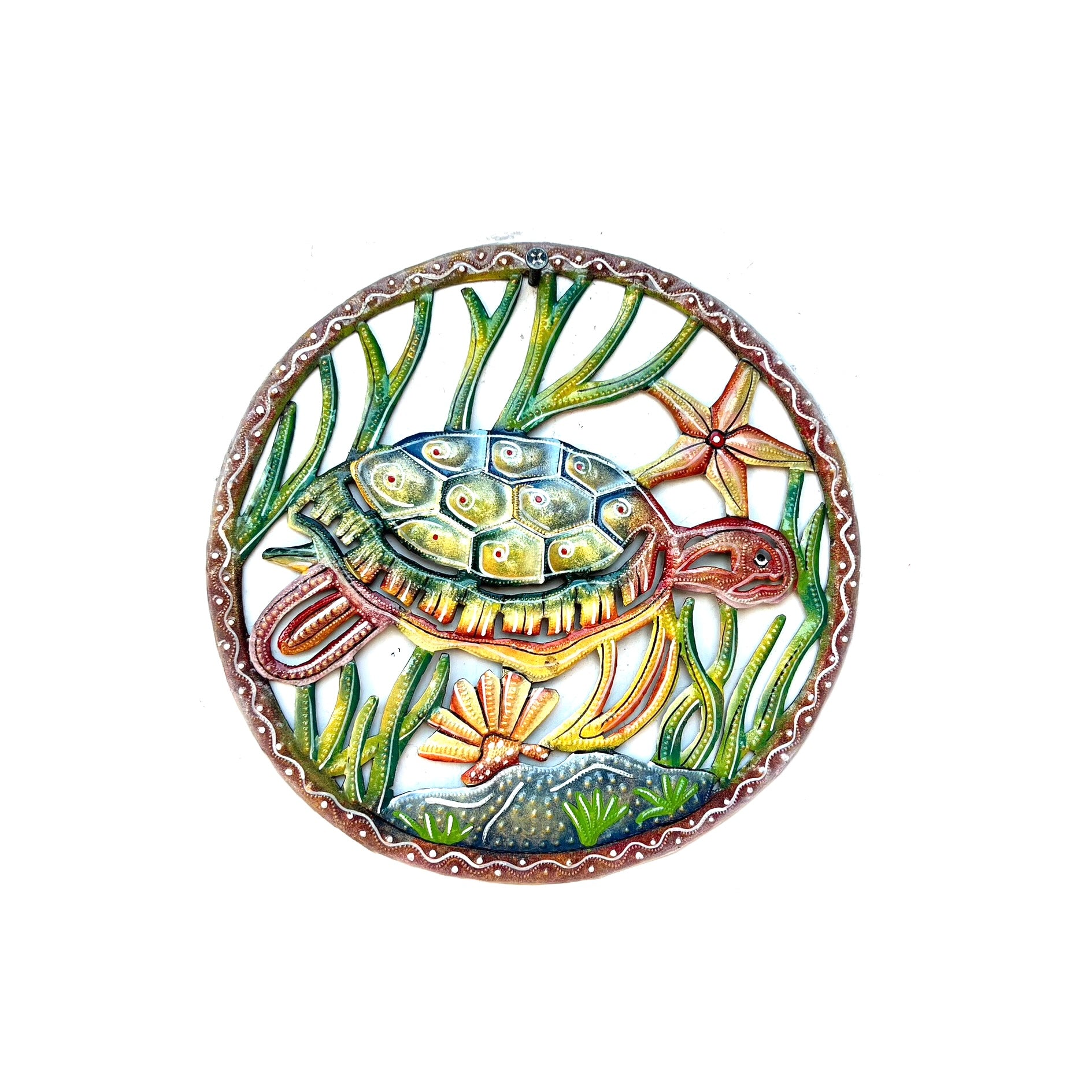 Ralph- Aquatic Turtle #2