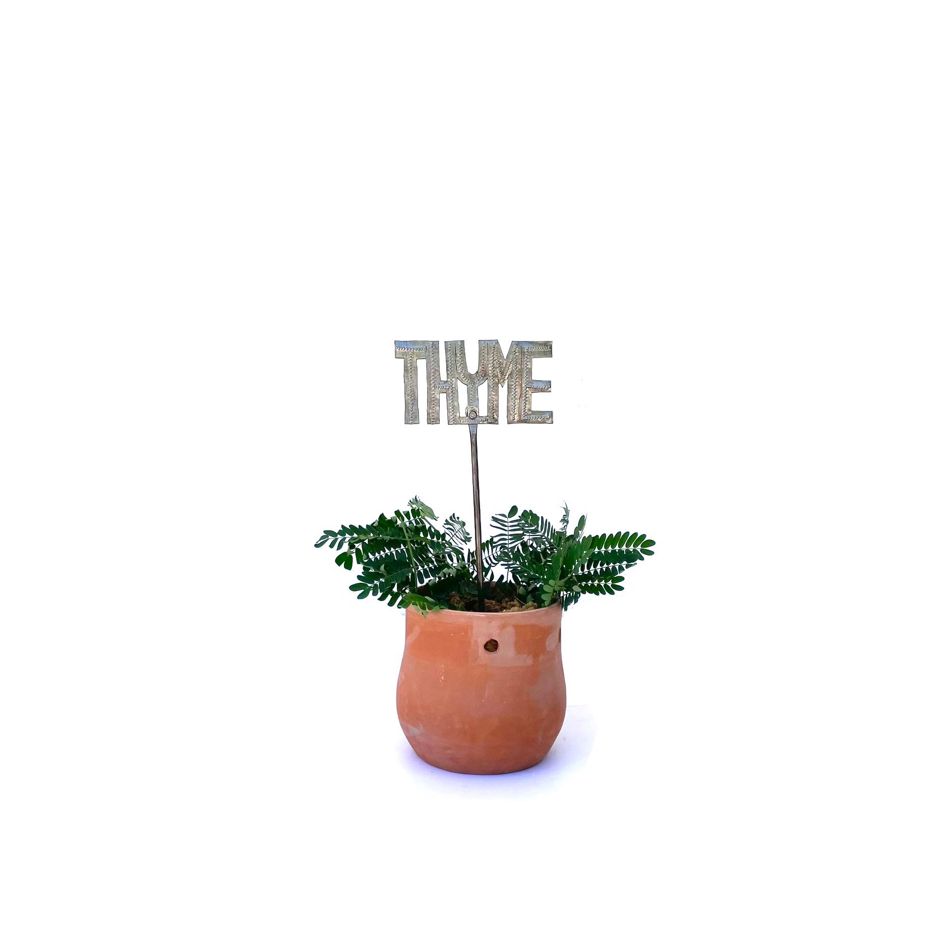 Plant Stake - THYME