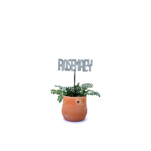 Plant Stake - ROSEMAEY