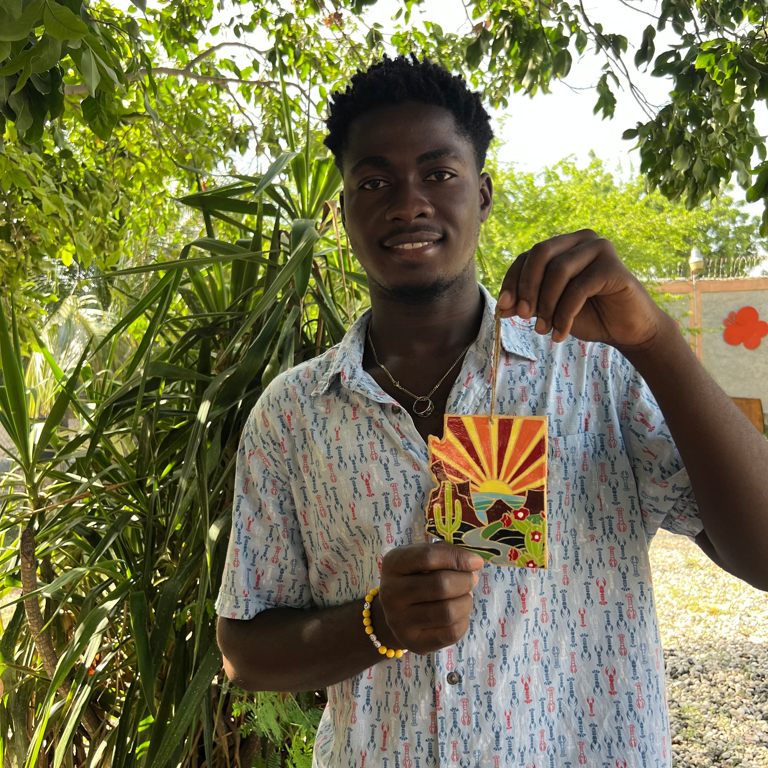 States of America Ornaments- Arizona