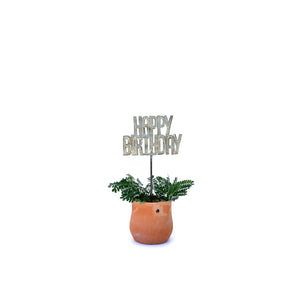 Plant Stake - HAPPY BIRTHDAY
