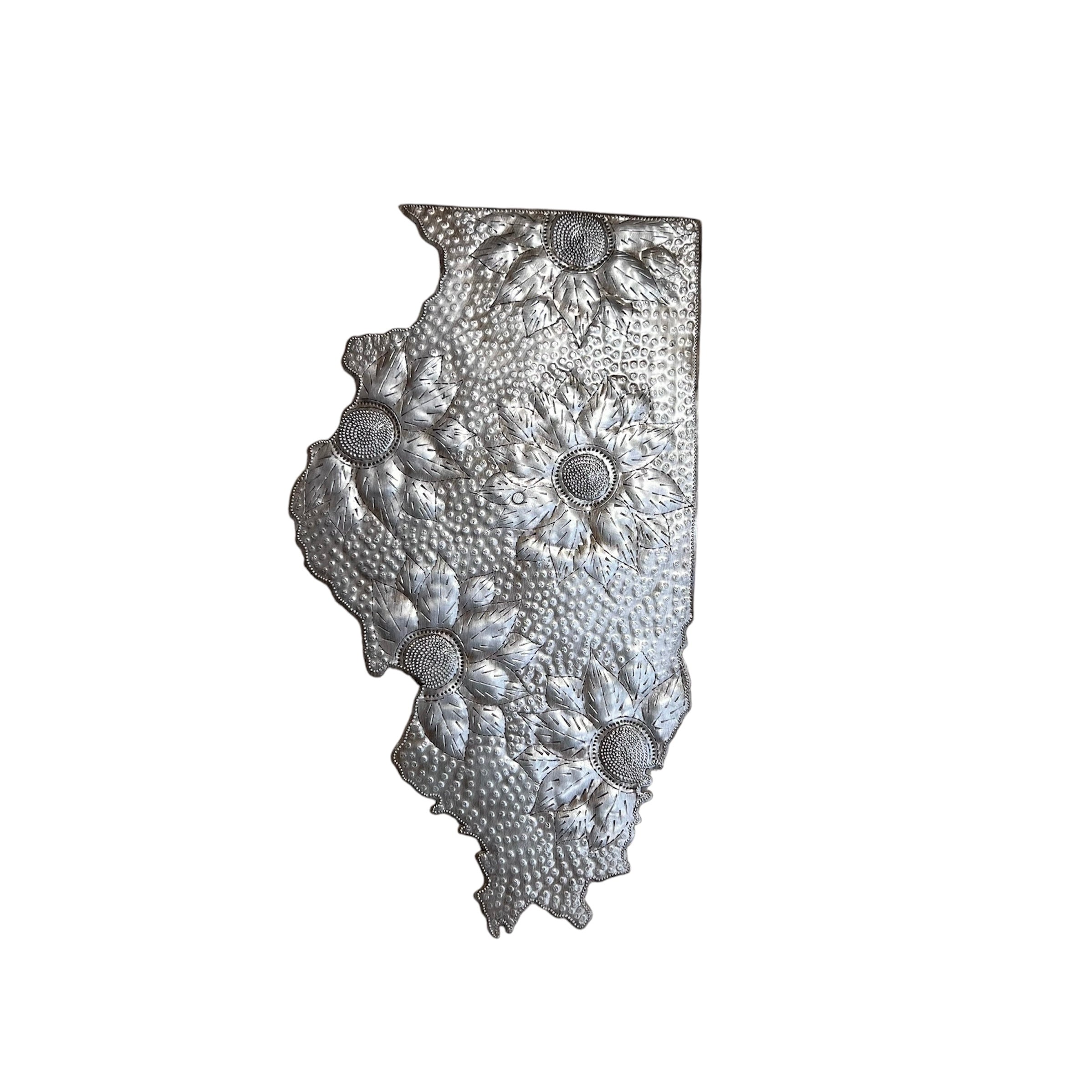 Illinois- State of America