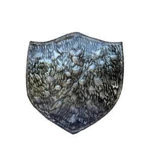 Arrow Shield With Arm Supports