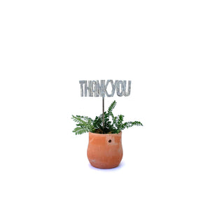 Plant Stake - Thank You