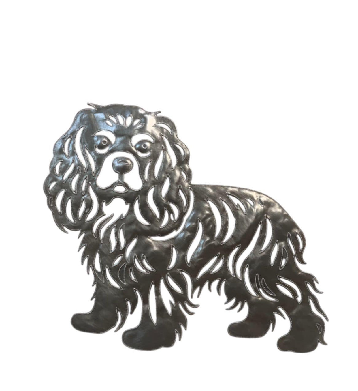 Cavalier King Charles Ictive Spaniel