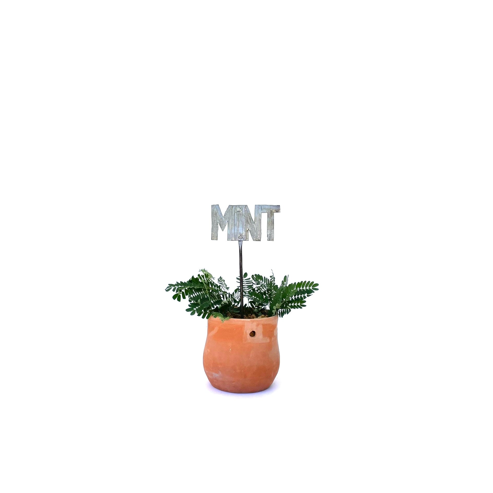 Plant Stake - MINT