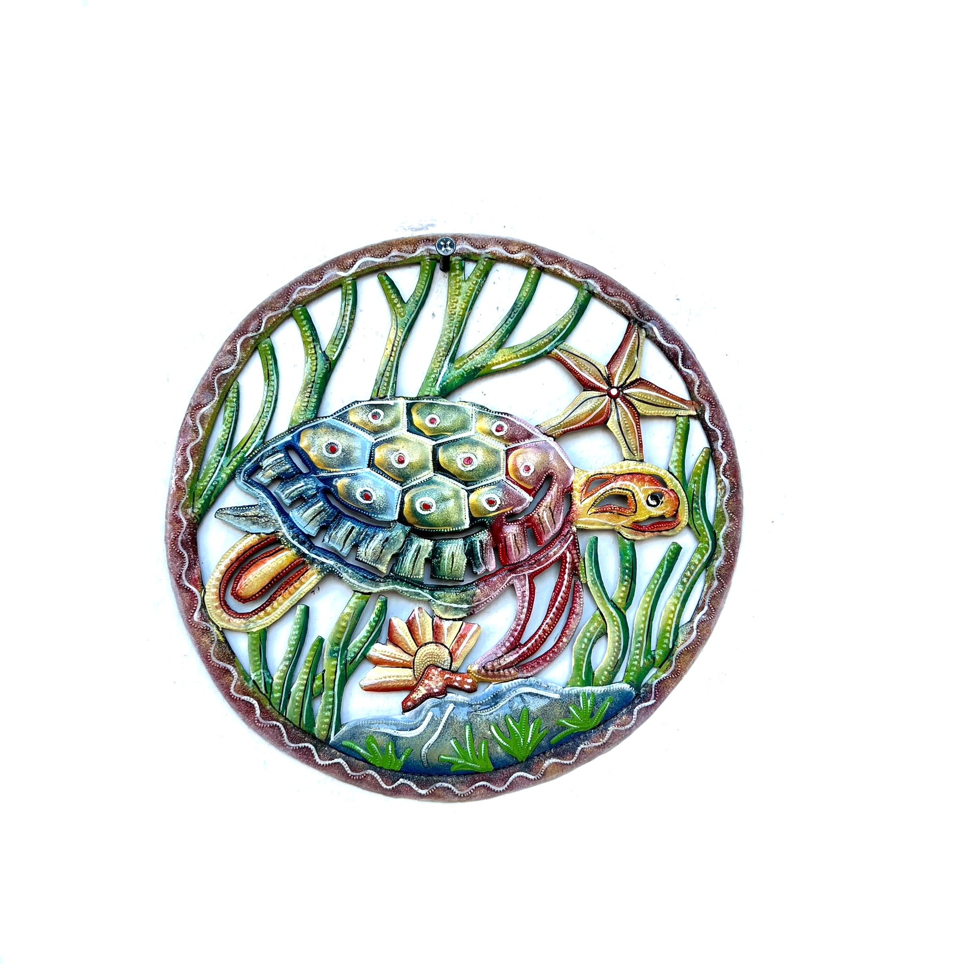 Ralph- Aquatic Turtle #3