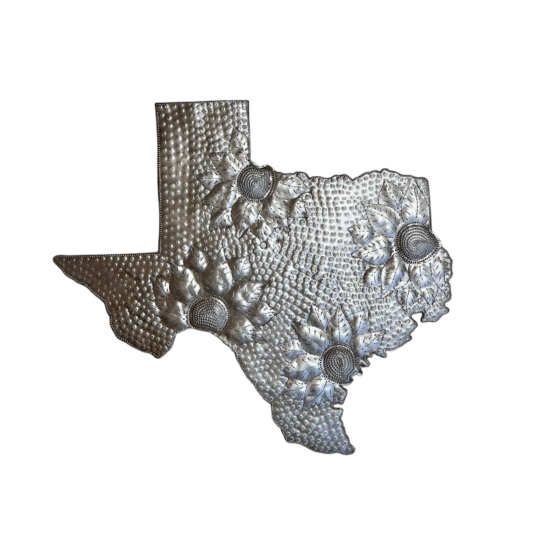 Texas- State of America