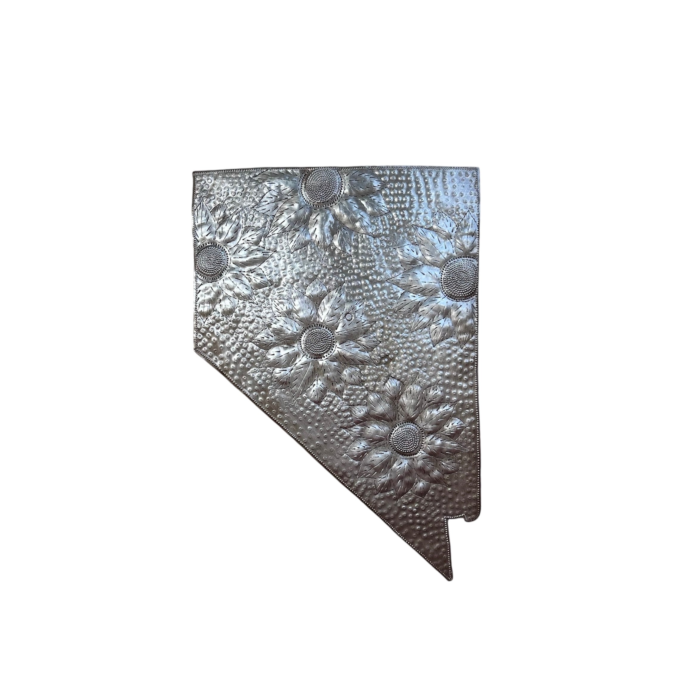 Nevada- State of America