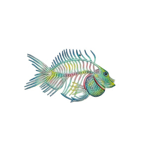 Wilson-The Skeleton Fish