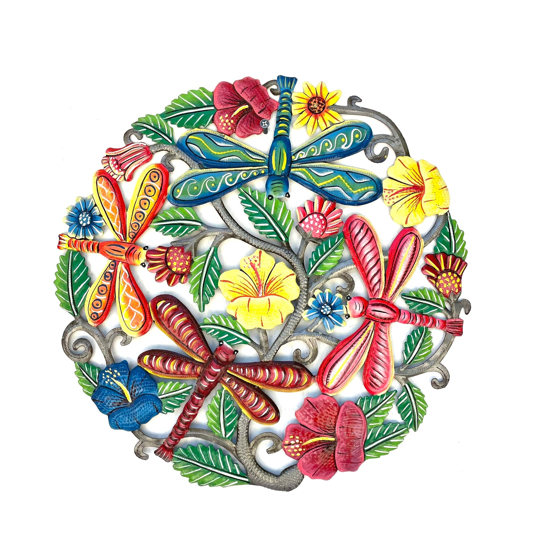 Jemps Dragonfly and Hibiscus