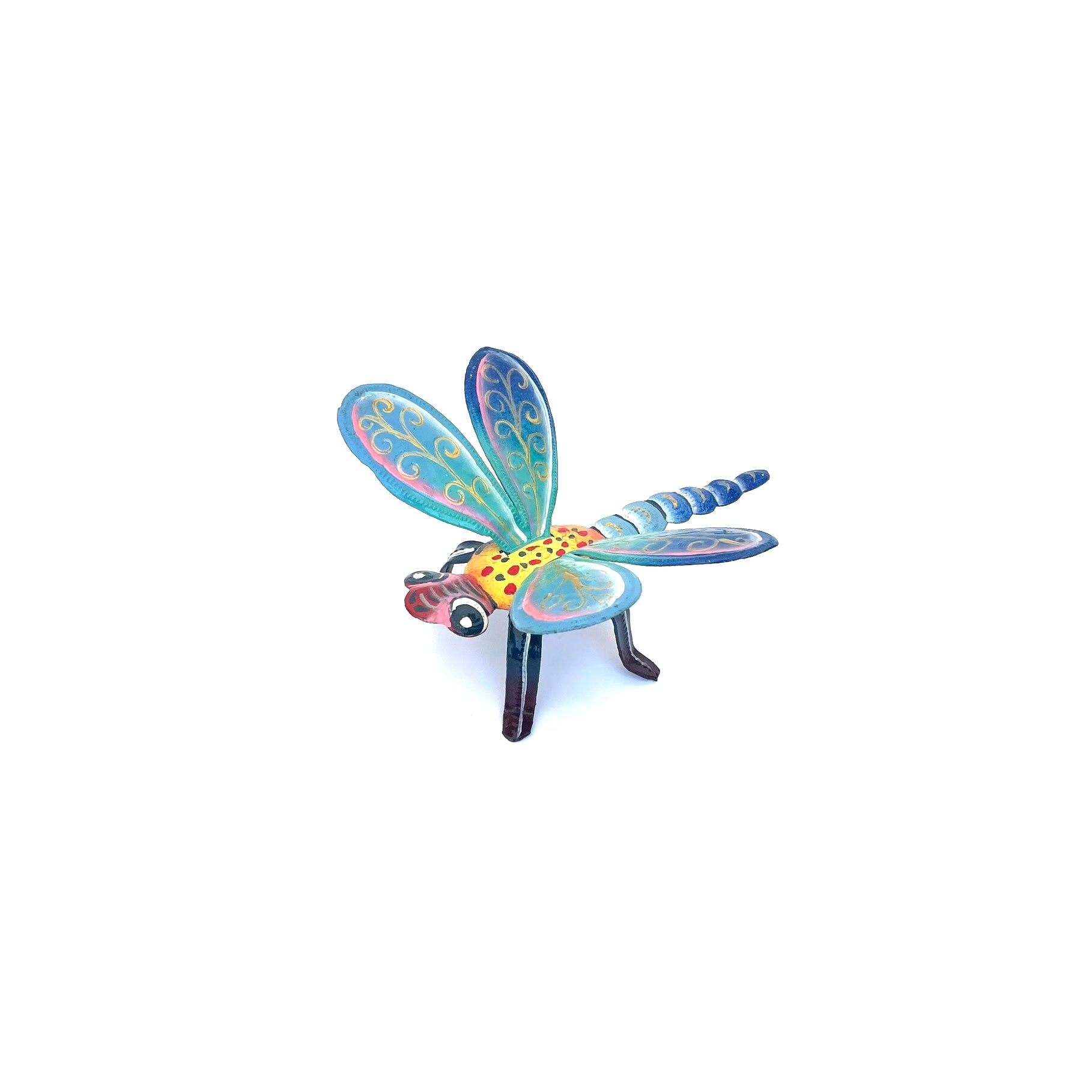 Jean Daniel Standing Painted Dragonfly