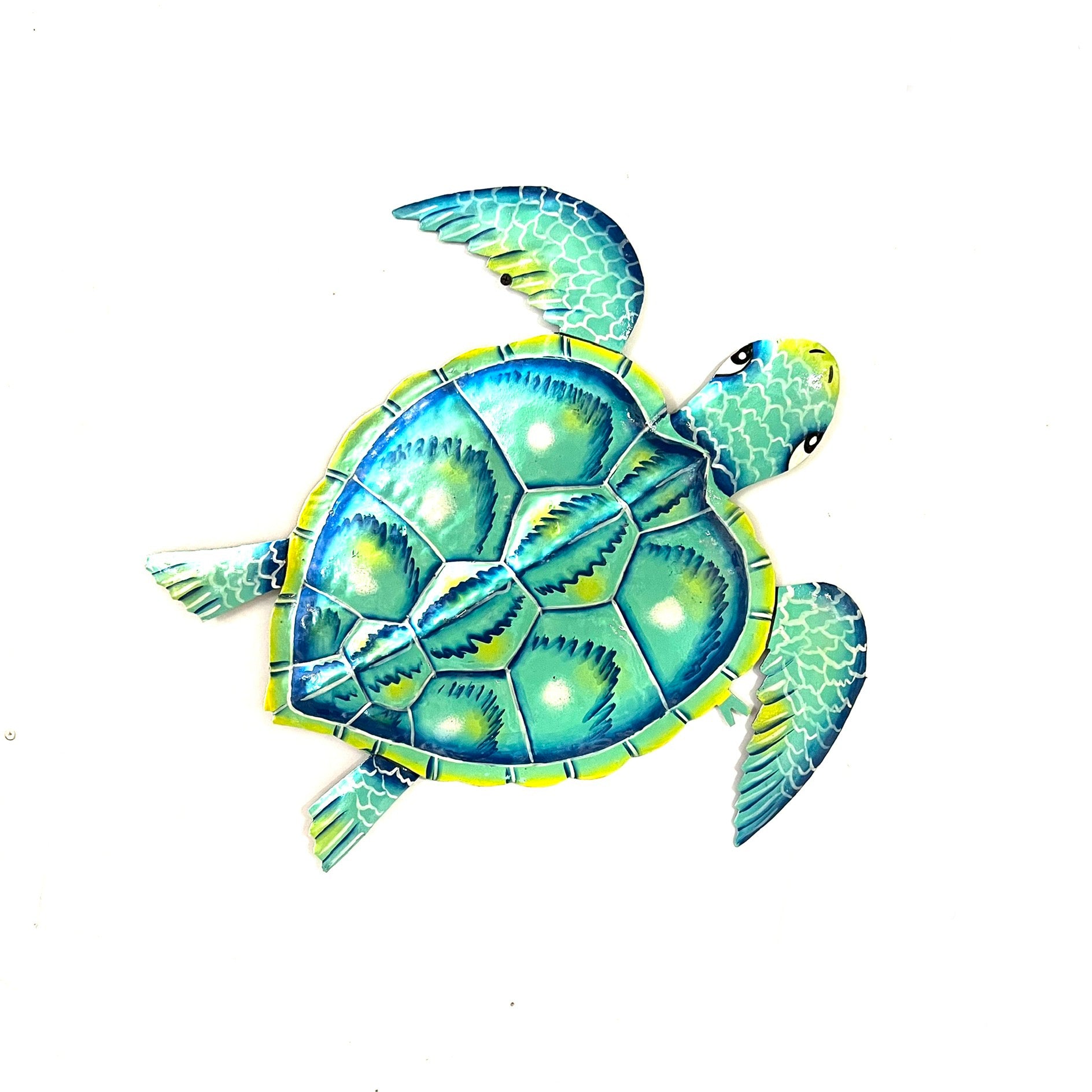 The Turquoise Turtle – Papillon Wholesale