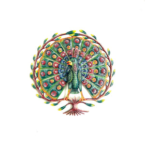 3-D Peacock