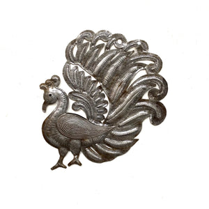 Brushed Metal Peacock