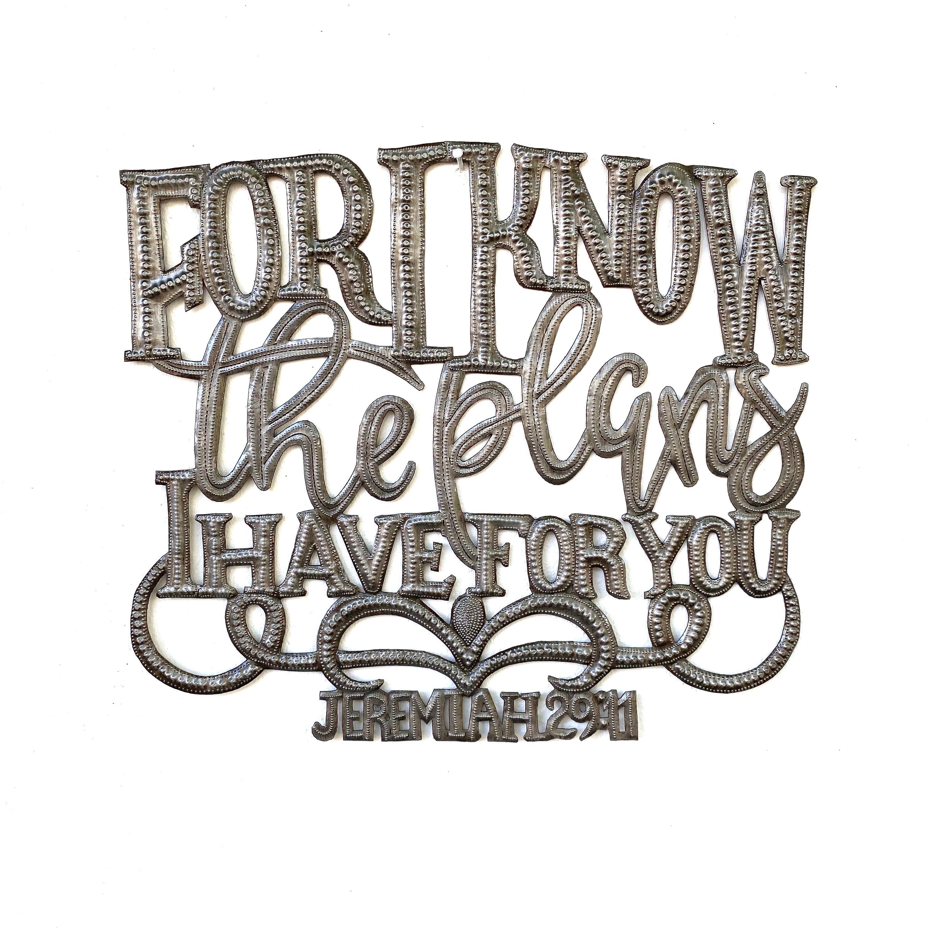 The Plans I Have For You